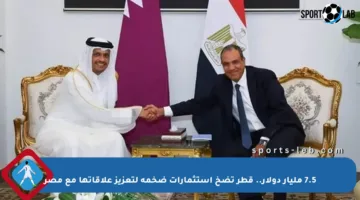 7.5 مليار دولار.. قطر تضخ استثمارات ضخمة لتعزيز علاقاتها مع مصر